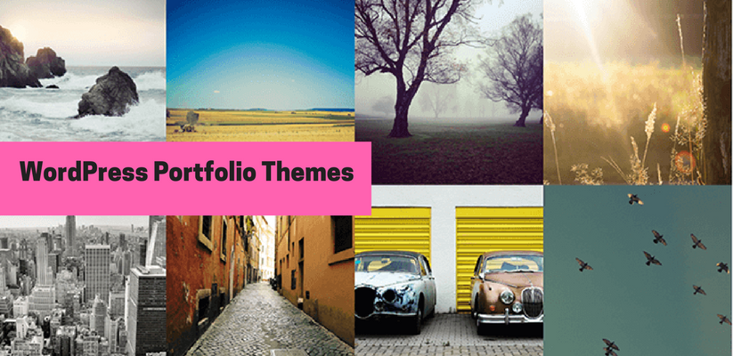 WordPress Portfolio Themes