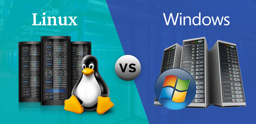 Linux or Windows VPS Hosting