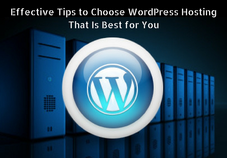 Effective Tips to Choose WordPress Hosting That Is Best for You